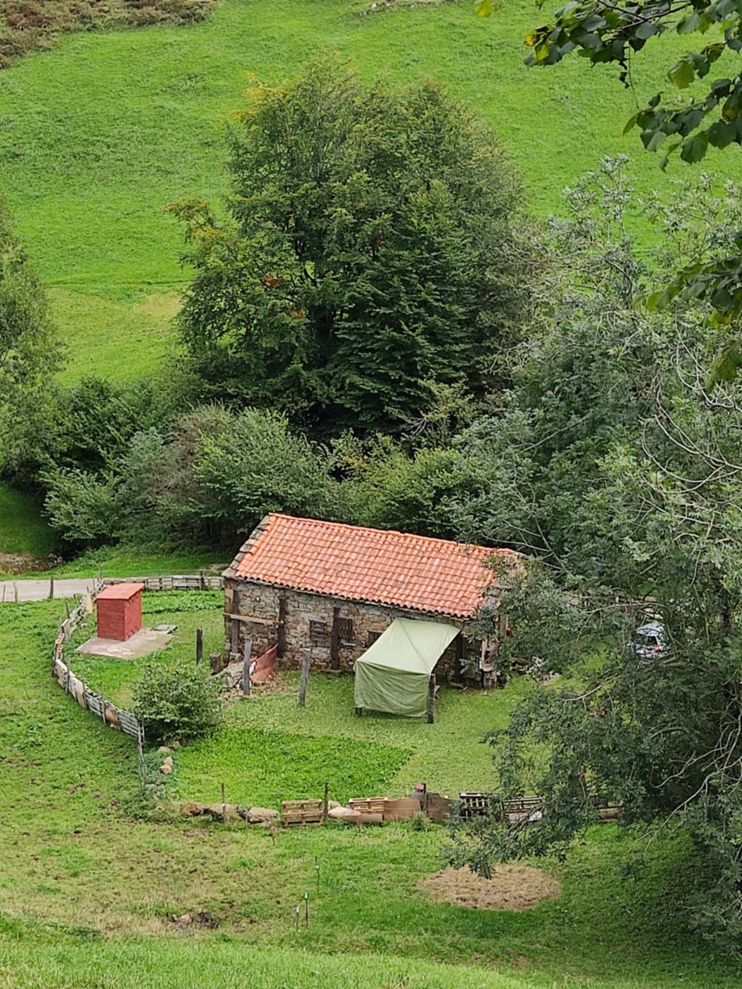 Loma Bonita * Valdicio
